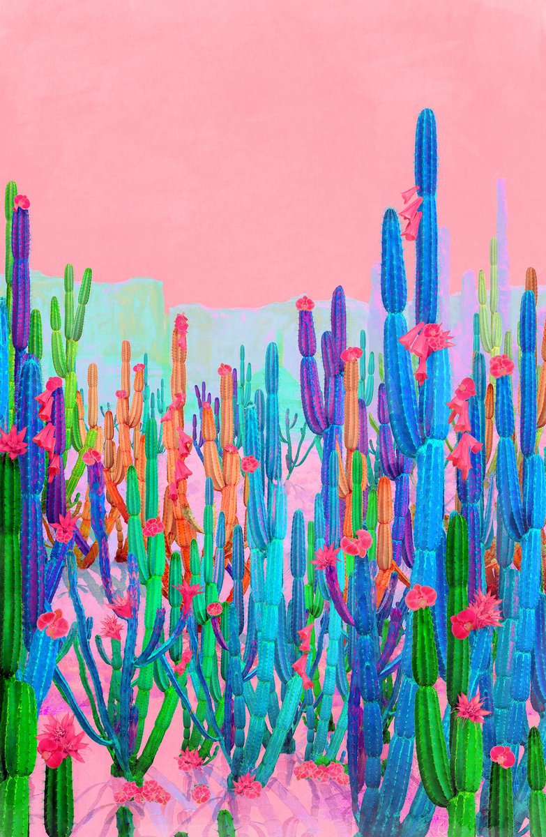 Impressionistic Landscape Photograph By Nadia Attura, 20 X 28", Cactus Canyon, Original Artwork