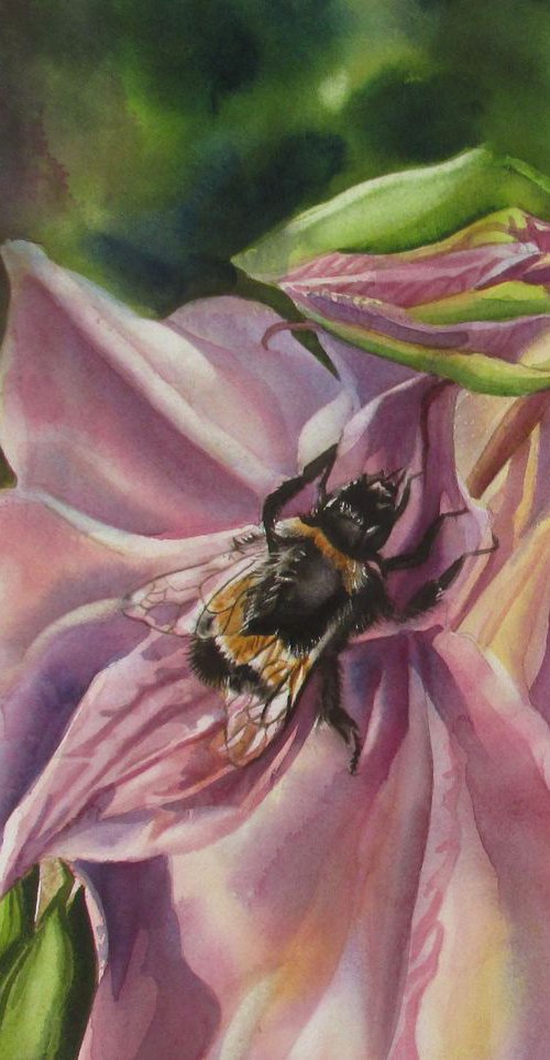 bee with columbine by Alfred  Ng