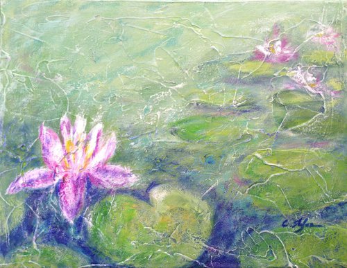 Pond with Water Lily by Cristina Stefan