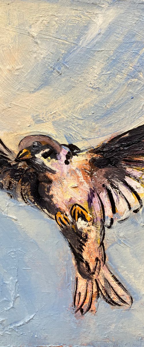 [Ceci n’est pas un] Moineau voltigeant V by Roy Forget