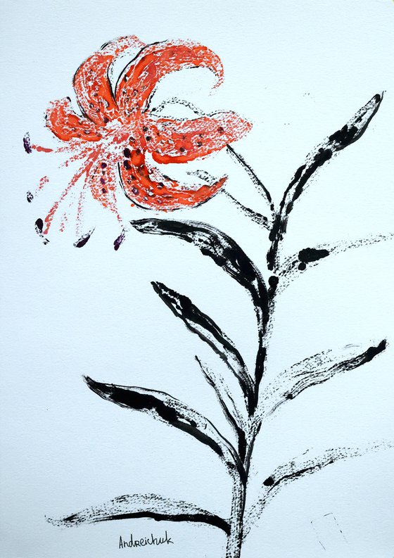 Lily