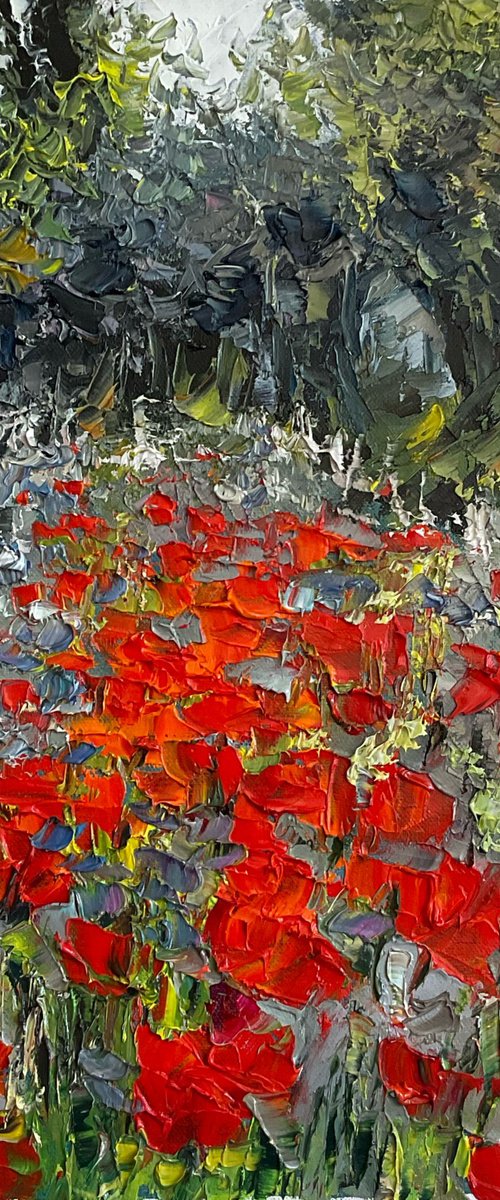 Poppies on grey background by Mariia Hyhar