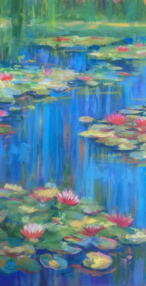 Nympheas - Water Lilies by Frederic Reverte