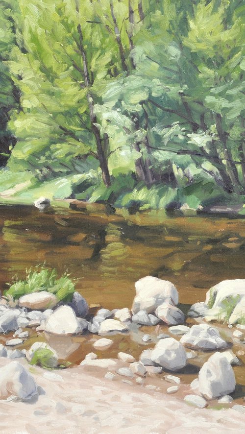 Rocks on the banks of the Loire by ANNE BAUDEQUIN