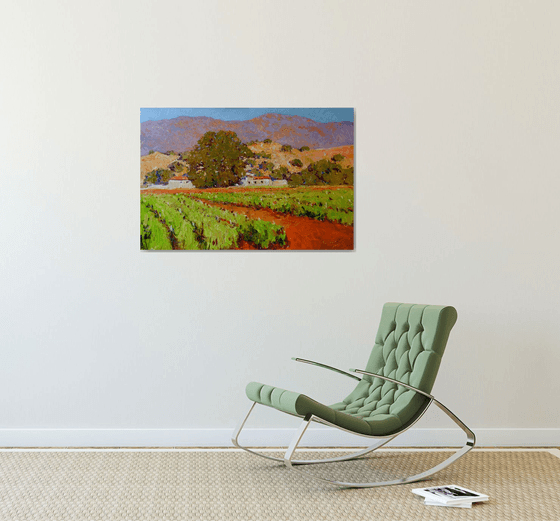 Southern California Vineyards