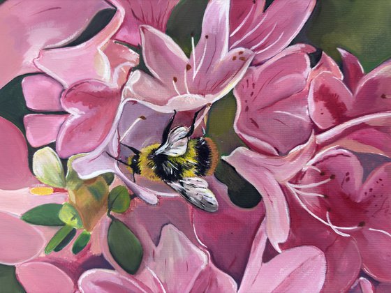 Bee on pink flower