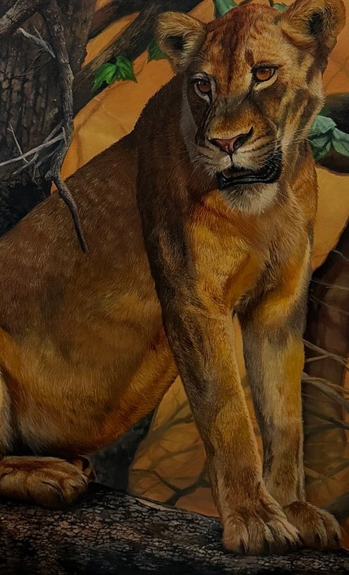 Wild by Pàl Rozgonyi