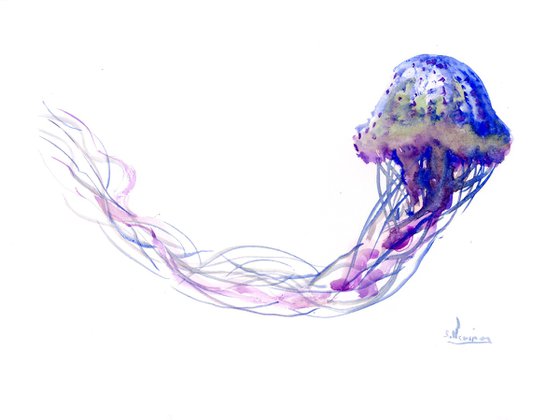 Jellyfish