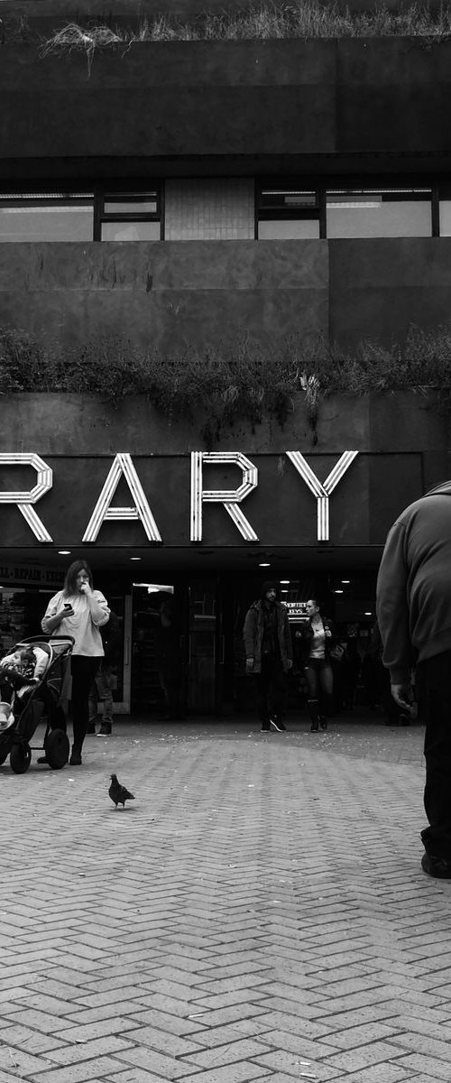 Librarian, 21x21 Inches, C-Type, Framed by Amadeus Long