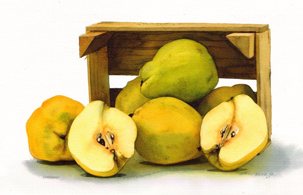 Photorealistic Still Life Watercolour By Reme Jr., 13 X 8", Autumn Quinces, Original Artwork