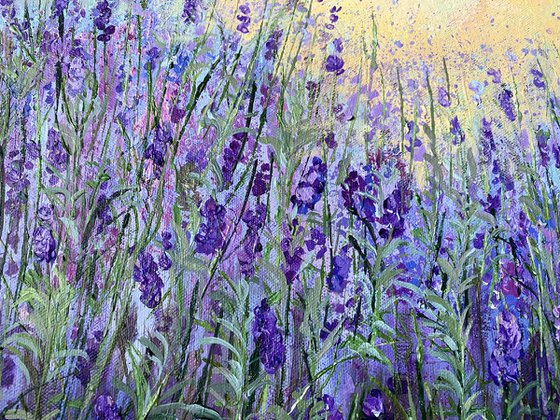 Lavender Morning