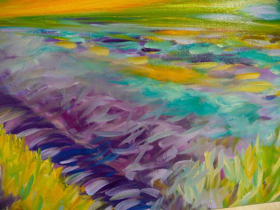 Lavender Fields 2025