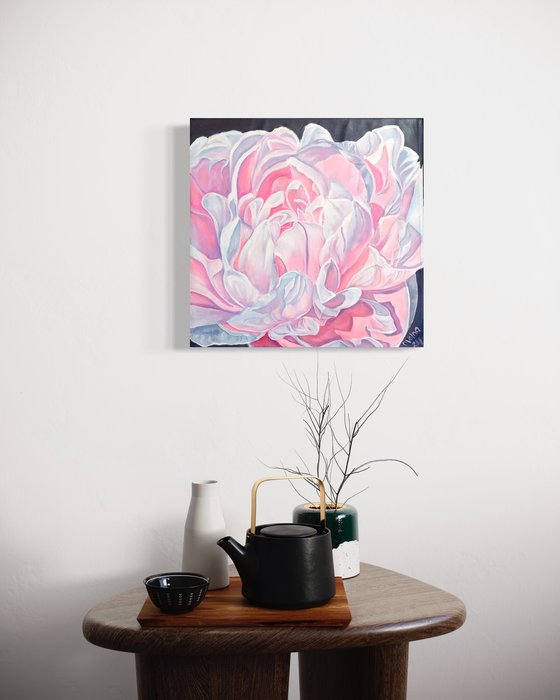 Pink peony