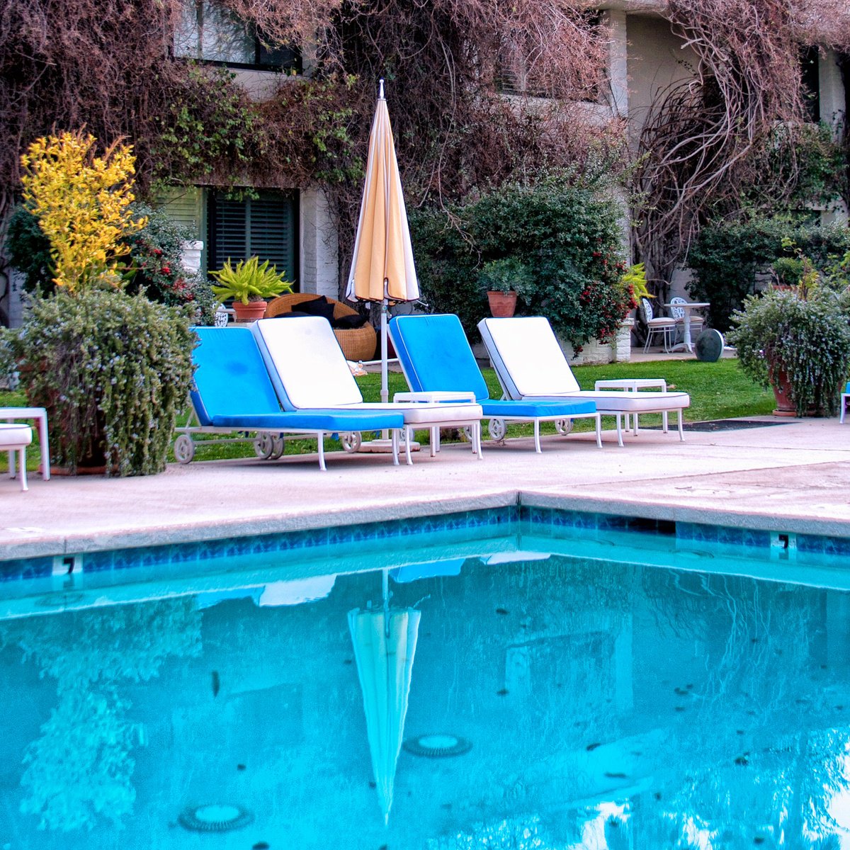 Impressionistic Cityscapes Photograph By William Dey, 22 X 22", Under The Sun After The Wind Palm Springs Ca, Original Artwork