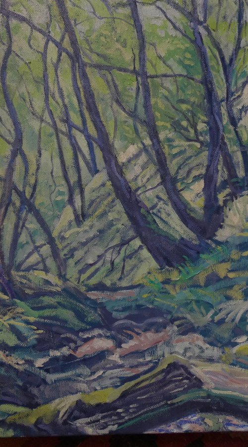 At the Moor Brook, Dartmoor by Bert Bruins