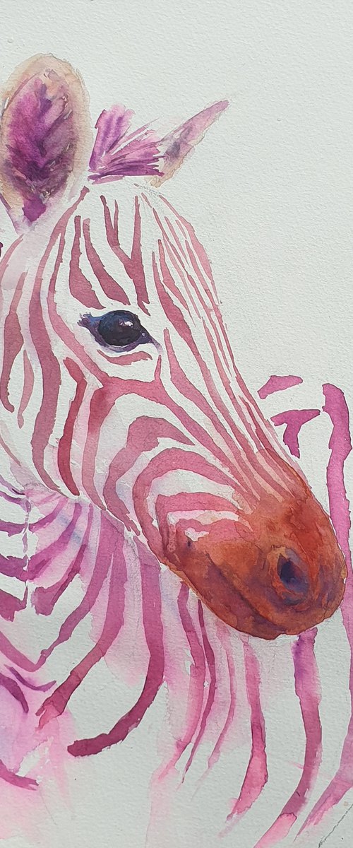 ZEBRA IN PINK original watercolor 27X37 2022.002 by Beata van Wijngaarden