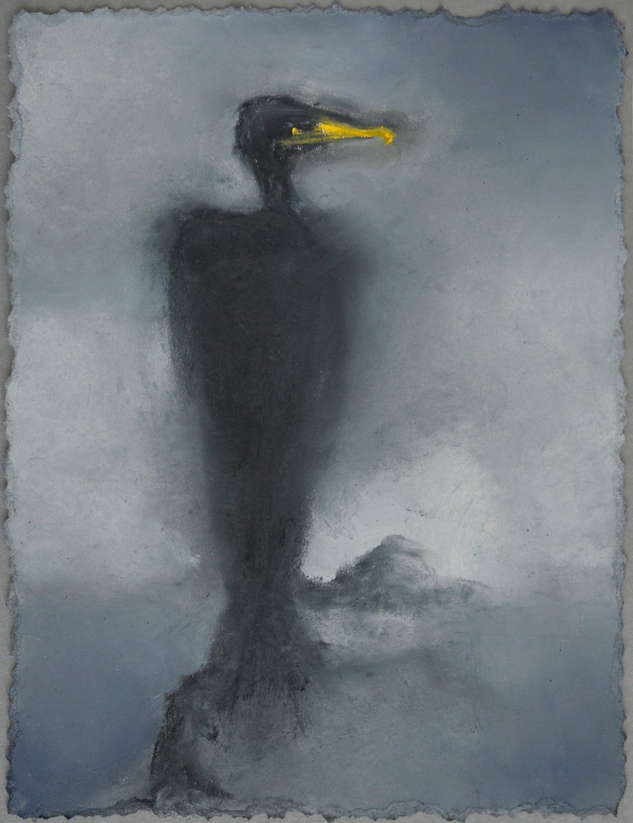 Cormorant on a branch by Kc Paillard