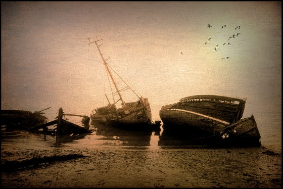 Beach of Wrecks