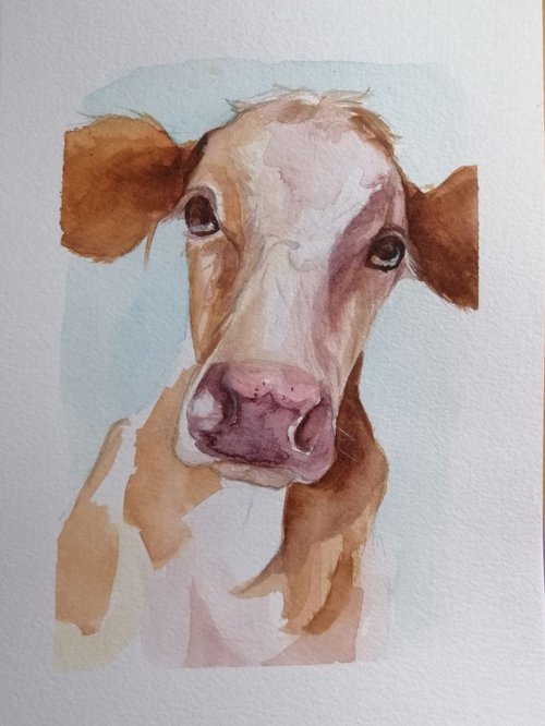 Cow by Anamaria