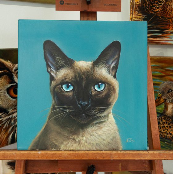 Elegant Siamese Cat