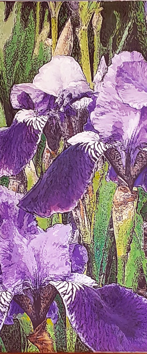 SUMMER RAIN / IRISES by Tatiana Rezvaya