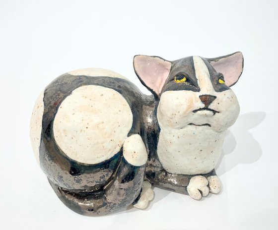 Whispers of Purrfect Peace