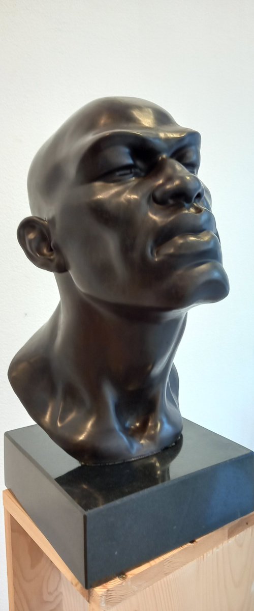 "Afro IV" by Tsvetan Nikolov