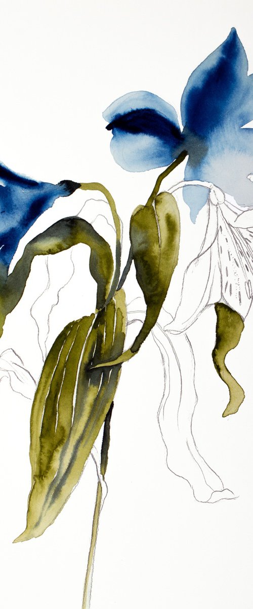 Lilies No. 10 by Elizabeth Becker