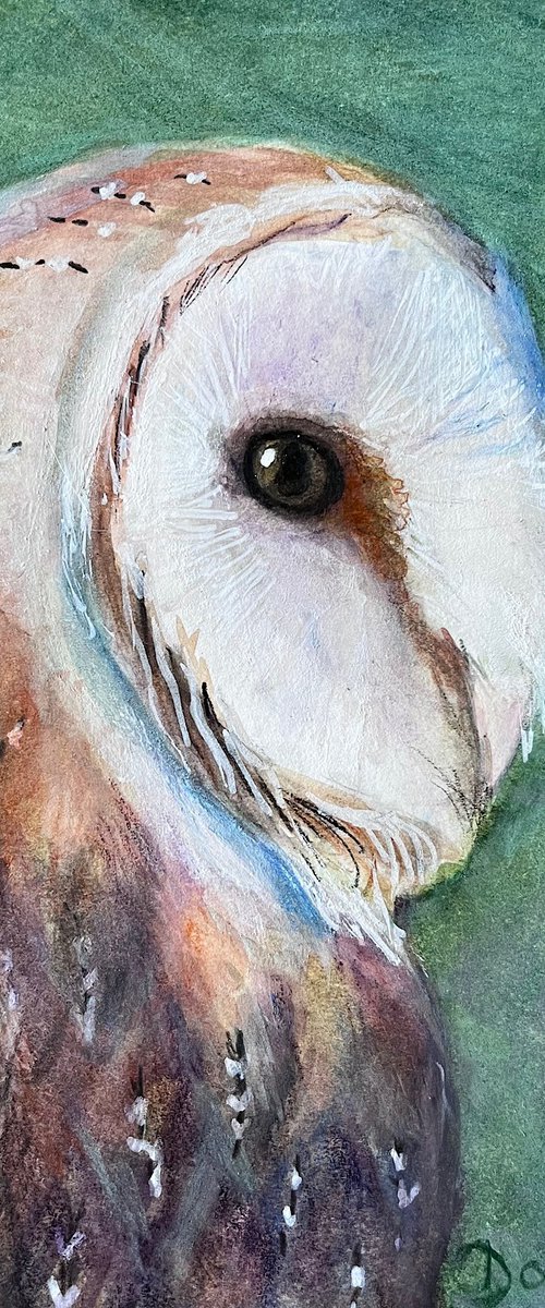 Gentle Wisdom (Barn Owl) by Dawn Rodger