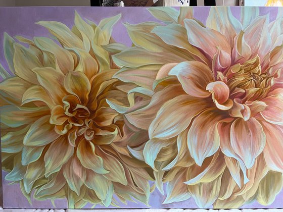 Dahlias “ Cafe au Lait “