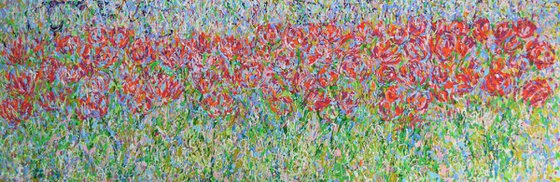 Red Tulip Meadow