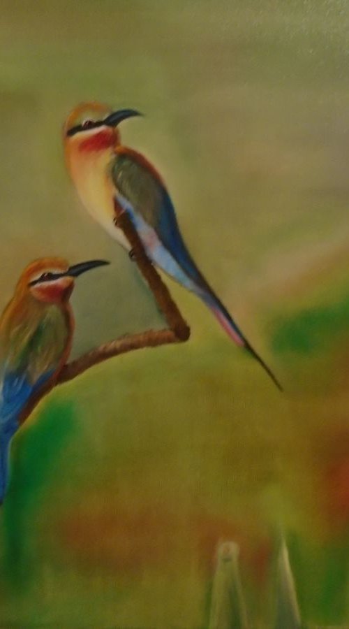 Bird duet by Timea  Valsami