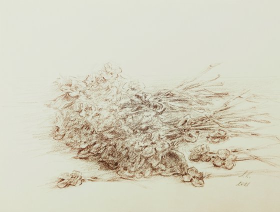 Summer bouquet. Original drawing in brown pencil on paper