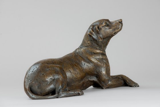 Lying Redbone Hound in Bronze Resin