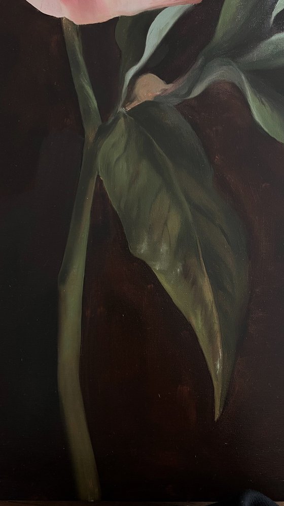 Old Holland flower 6