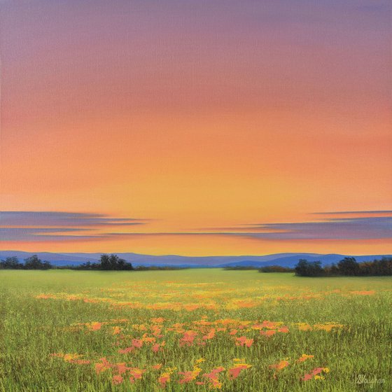 Field of Spring Flowers - Vibrant Flower Field Landscape