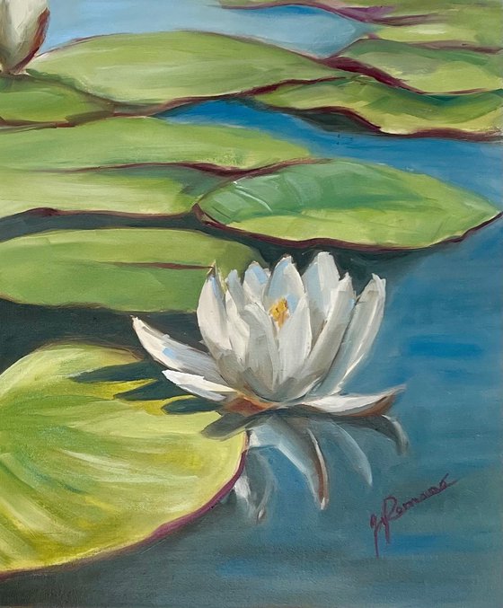 Water Lilies