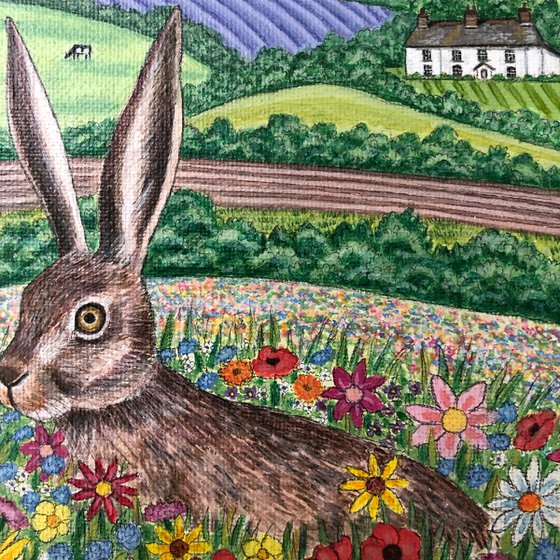 Hare in Wildflower Meadow