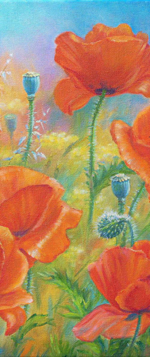 Poppies by Lilija Burockina