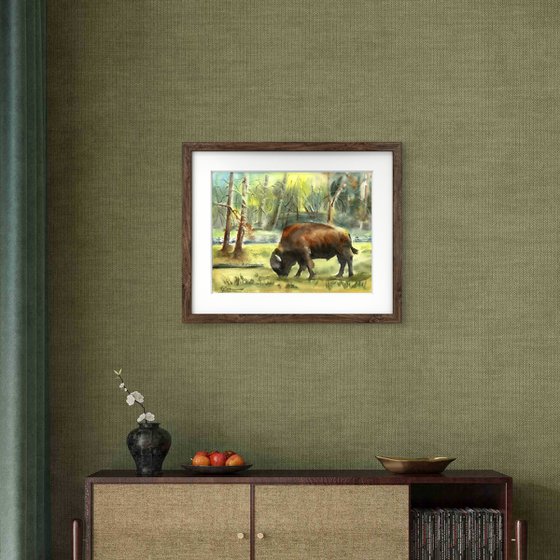 Bison in the Forest