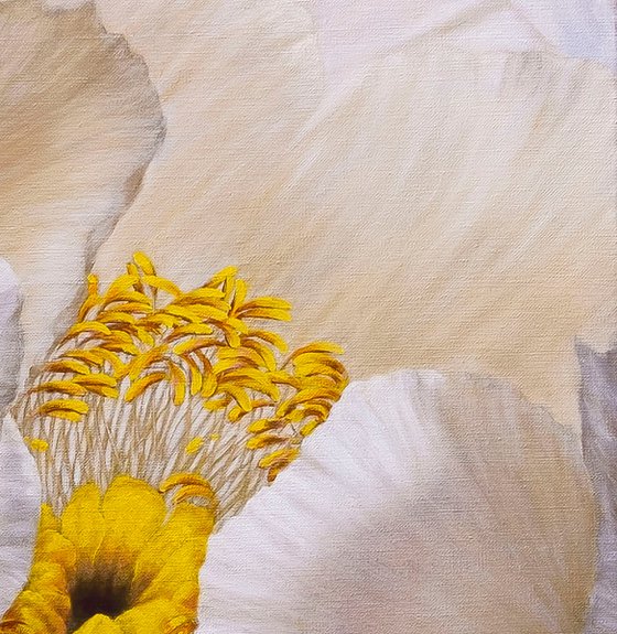 Peony, Soul of a Flower