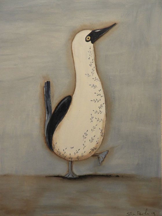 The Blue-footed booby