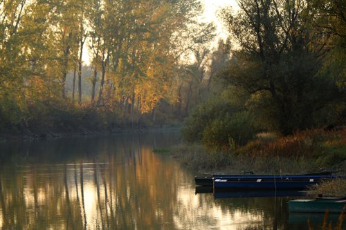 Autumn on the river by Sonja  Čvorović