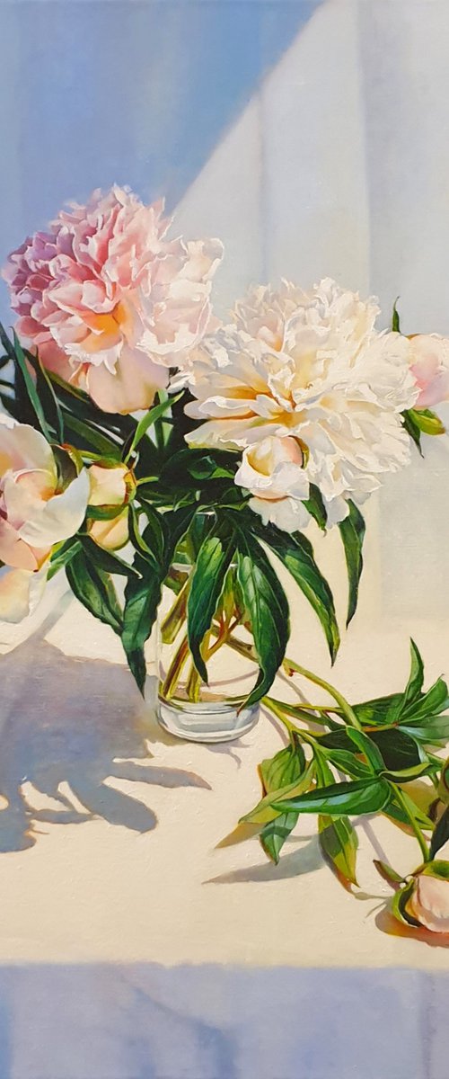 "Peonies bathe in sunlight." by Anna Bessonova (Kotelnik)