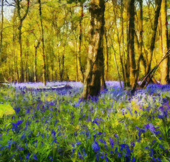 Forest of Bluebells