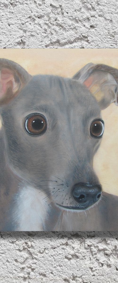 Lovely dog by Ira Whittaker