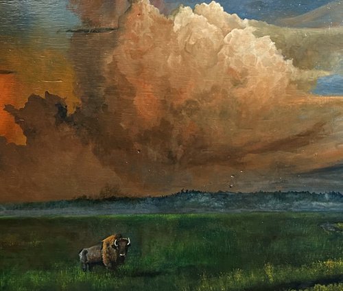 Buffalo Crossing by Bryan Peglow