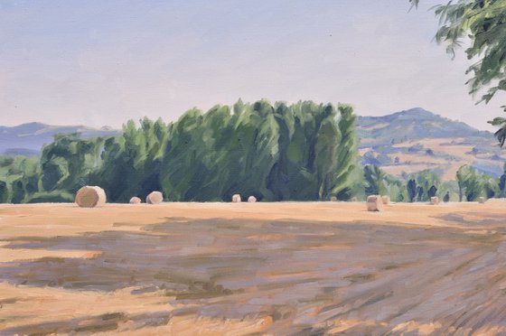 After the Harvest, Morning Light