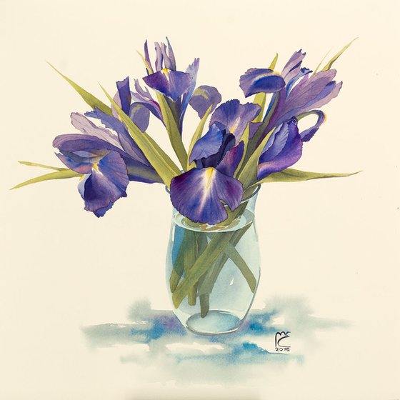 Iris flowers