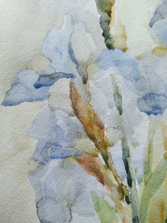 Irises. Original watercolour painting.